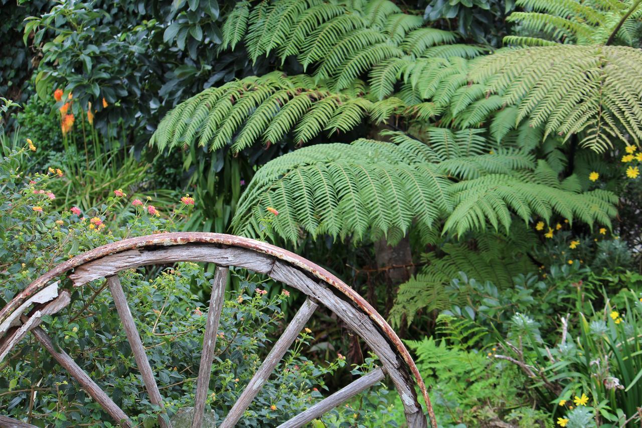 Coromandel Cottages Exteriér fotografie
